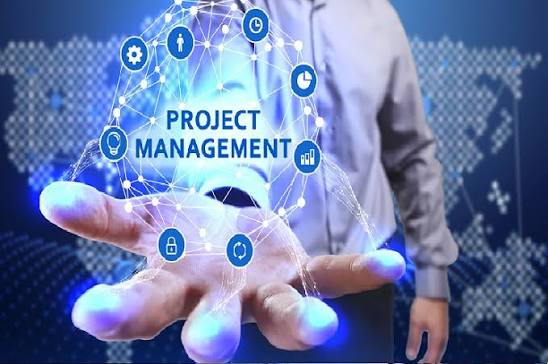 Project Management Consultancy